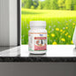 Indistone Powder